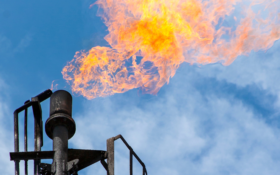 EU Approves Methane Regulation: What’s Next for the Industry?