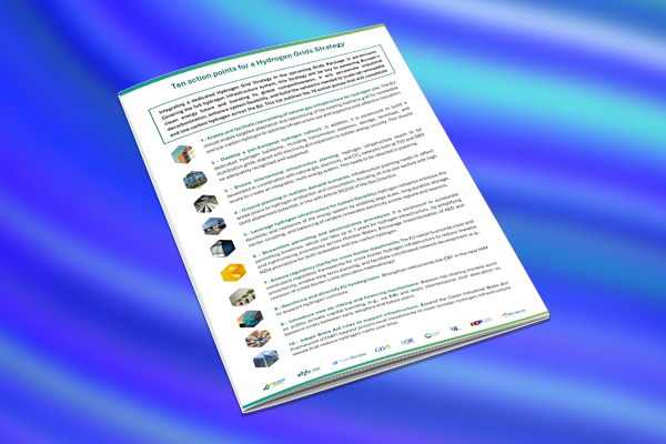 Ten action points for a Hydrogen Grids Strategy
