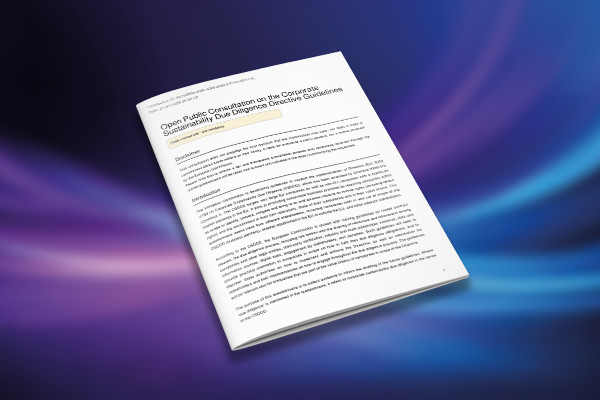 IOGP Europe’s Response to the Open Public Consultation on CSDDD Guidelines