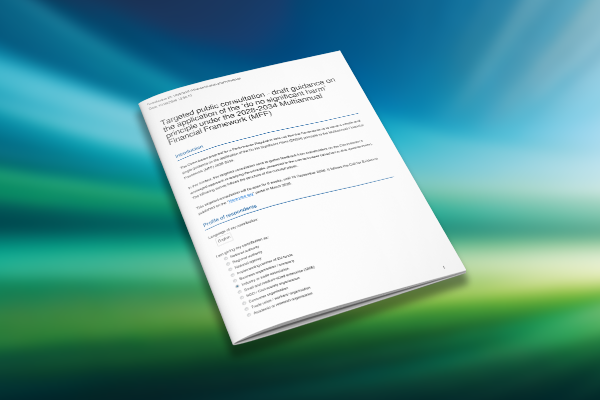 IOGP Europe’s input to the Commission’s draft guidance on the application of the ‘do no significant harm’ principle under the 2028-2034 Multiannual Financial Framework (MFF)